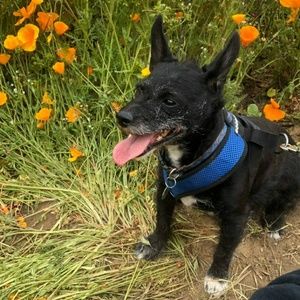 Meet your Posher, Em!